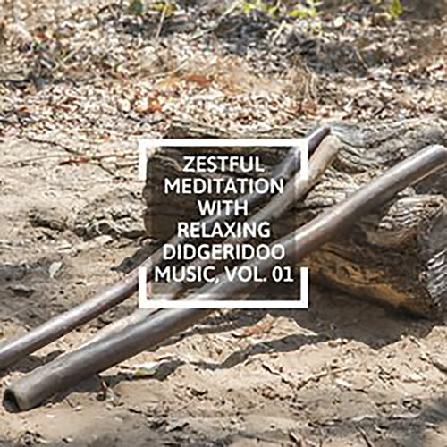 Zestful Meditation With Relaxing Didgeridoo Music, Vol. 01