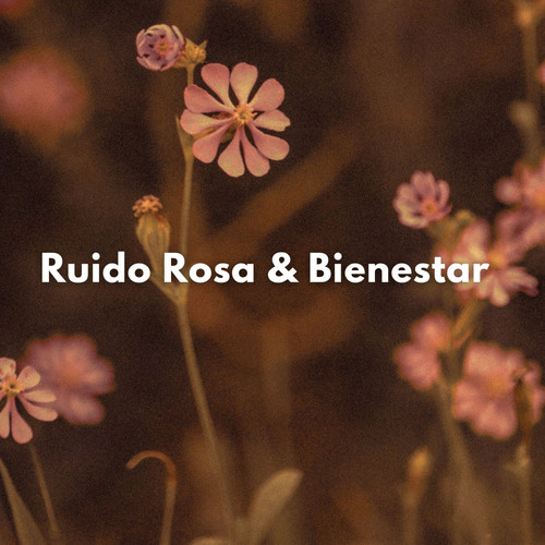 Ruido Rosa & Bienestar