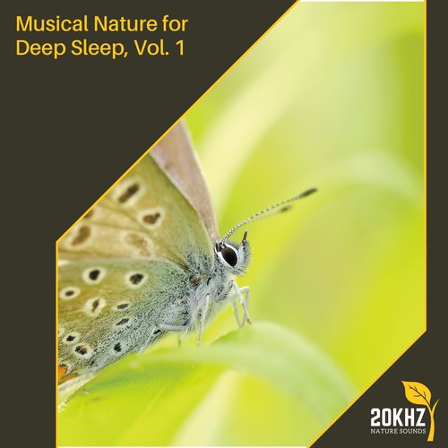 Musical Nature for Deep Sleep, Vol. 1