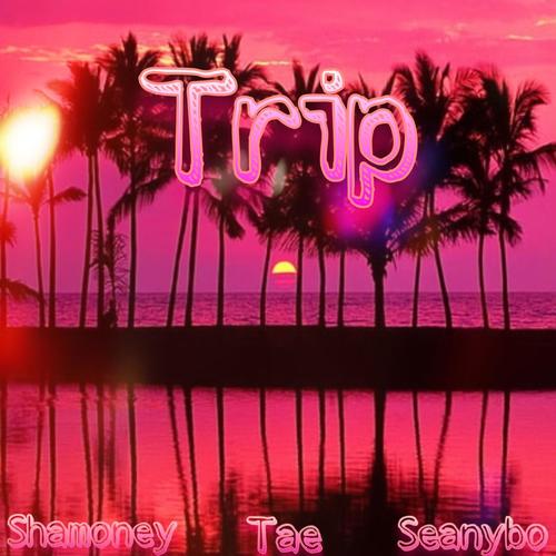 Trip (feat. Tae) [Explicit]