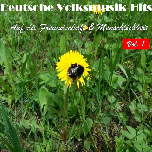 Deutsche Volksmusik Hits - Auf die Freundschaft & Menschlichkeit, Vol. 1