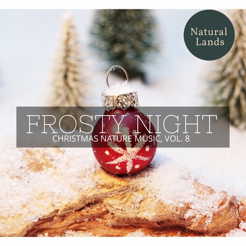 Frosty Night - Christmas Nature Music, Vol. 8