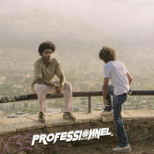 Professionnel (Explicit)