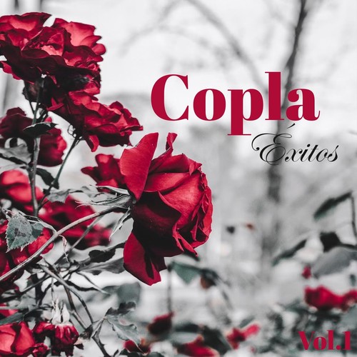 Copla-Éxitos, Vol. 1