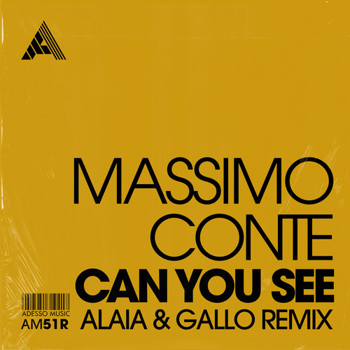 Can You See (Alaia & Gallo Remix)