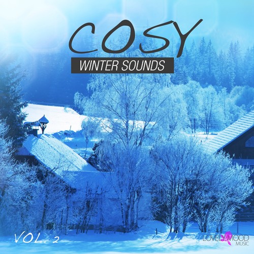 Cosy Winter Sounds, Vol. 2