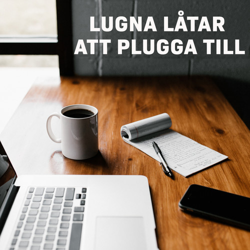 Lugna låtar att plugga till (Explicit)