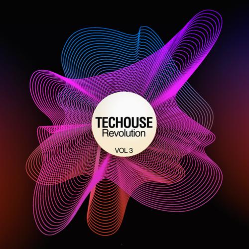 Techouse Revolution, Vol. 3