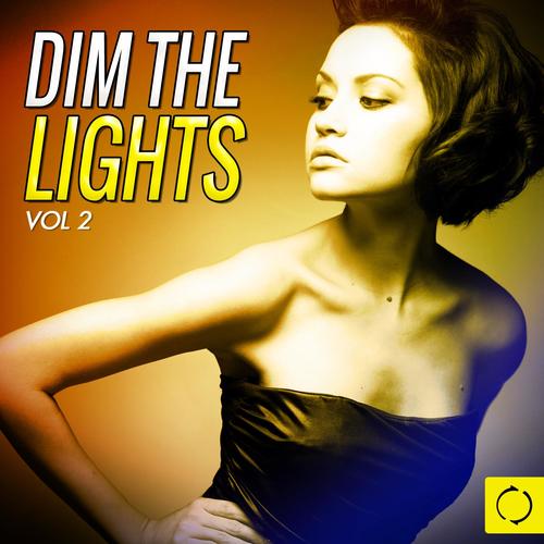 Dim the Lights, Vol. 2