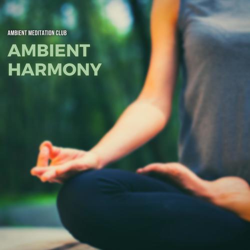 Ambient Harmony: Chill Beats for Zen Meditation