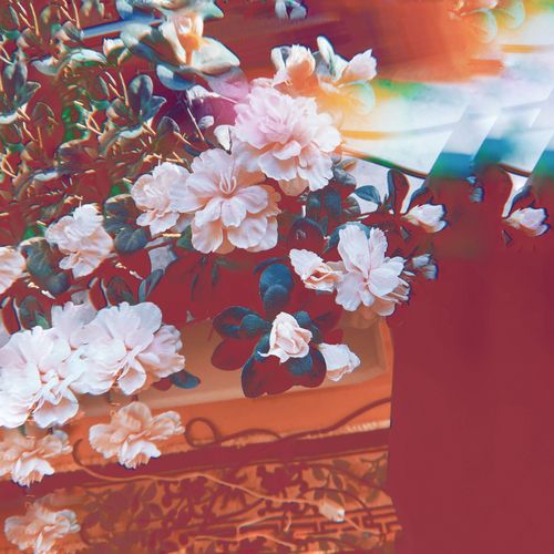 Flowers ** (Remixes)