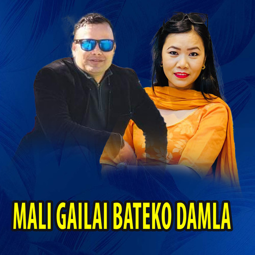 Mali gailai bateko damla