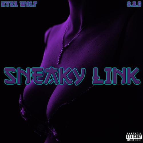 Sneaky Link (feat. SAG) [Explicit]