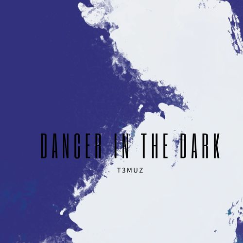 Dancer In The Dark