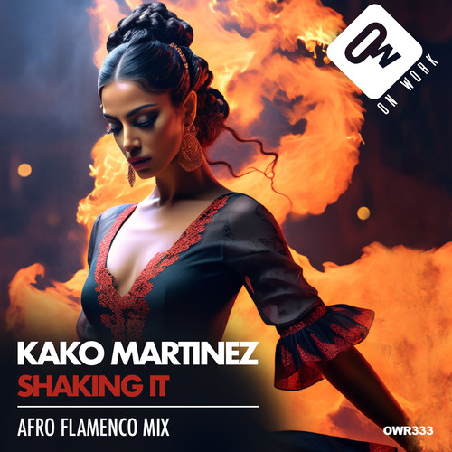 Shaking it (Afro flamenco Mix)