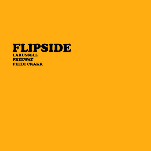 FLIPSIDE (Remix) [Explicit]