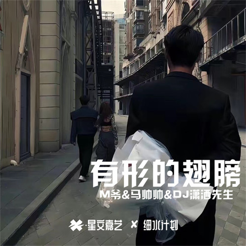 有形的翅膀