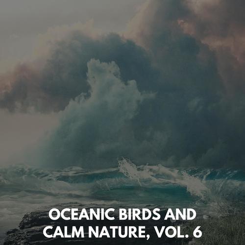 Oceanic Birds and Calm Nature, Vol. 6