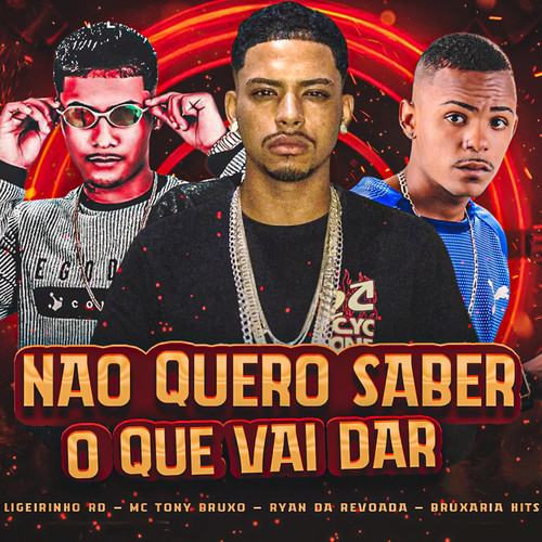 Não Quero Saber o Que Vai Dar (Explicit)