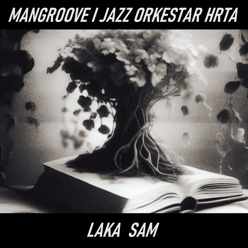 Laka sam (Radio Edit)