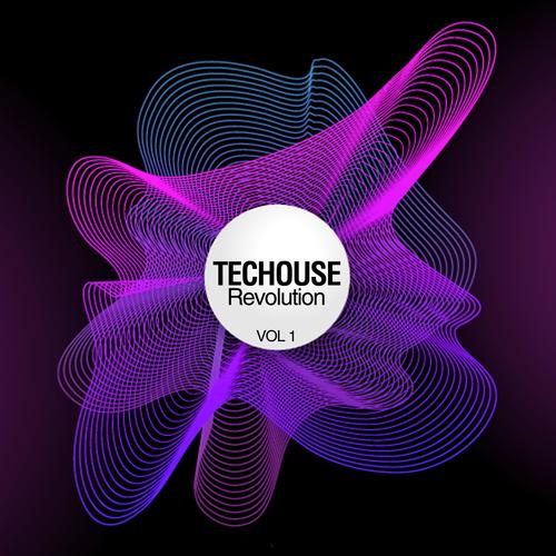 Techouse Revolution, Vol. 1