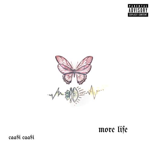 More Life (Explicit)