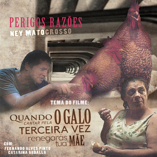 Perigos Razões