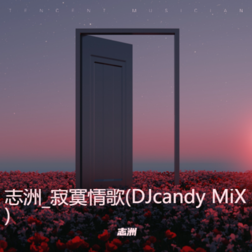 志洲_寂寞情歌(DJcandy MiX)