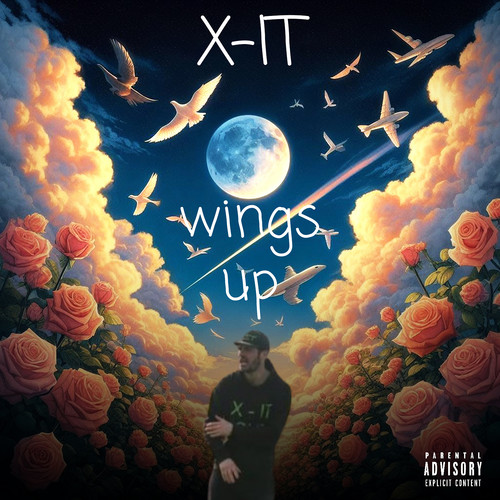 Wings Up (Explicit)