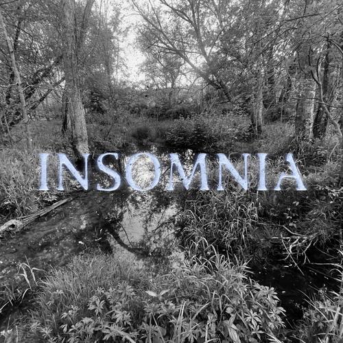 Insomnia (Explicit)