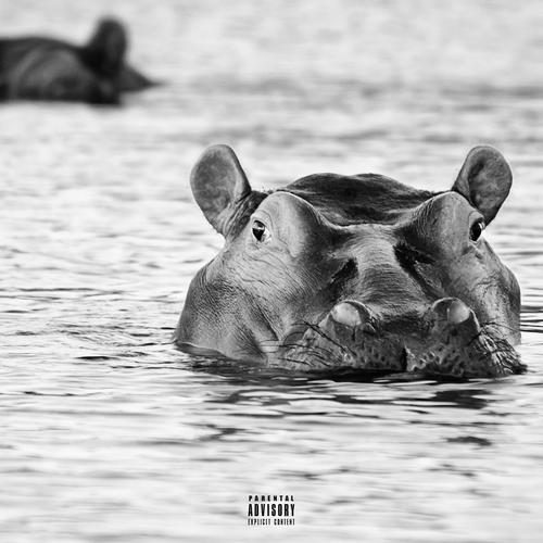 PABLO ESCOBAR'S ******* HIPPOS (Explicit)