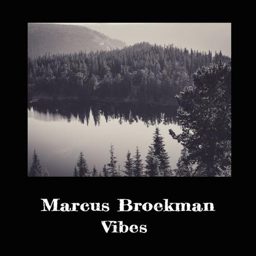 Vibes EP