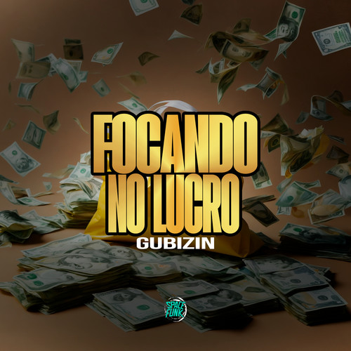 Focando no Lucro