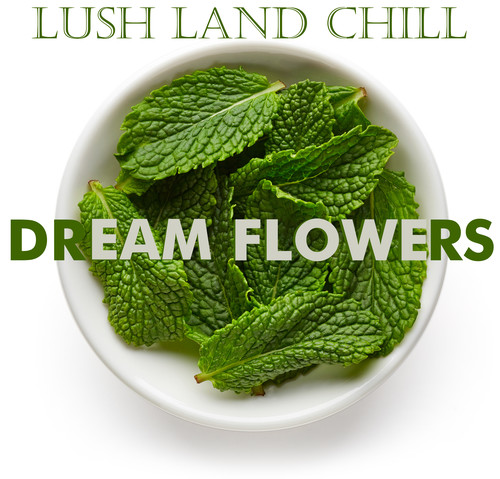 Lush Land : Dream Flowers