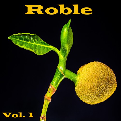 Roble, Vol. 1