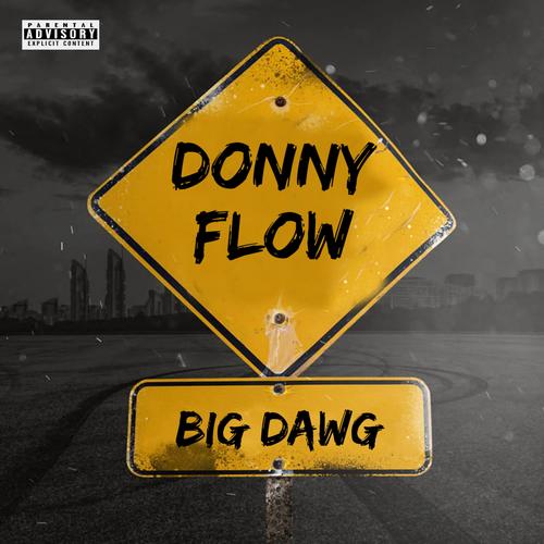 Donny Flow (Explicit)