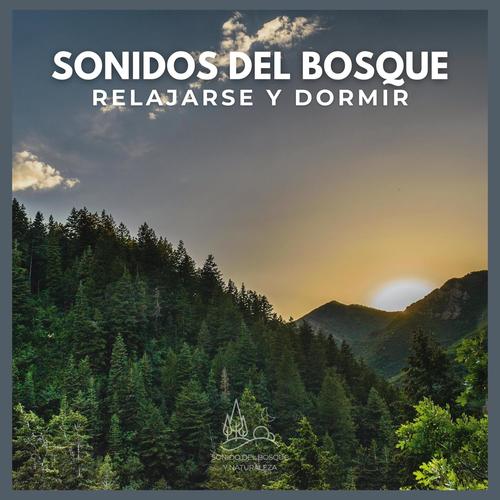 Sonidos del Bosque: Relajarse y Dormir