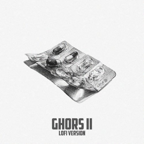 Ghors 2 (feat. Hiphopologist) (Lofi Version)