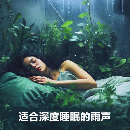 适合深度睡眠的雨声