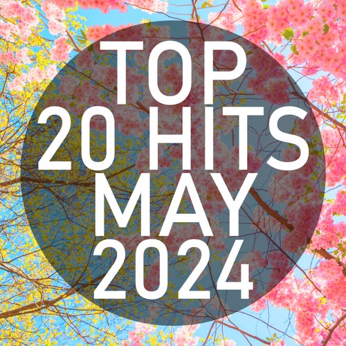 Top 20 Hits May 2024 (Instrumental)