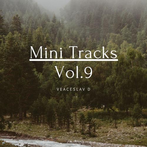 Mini Tracks, Vol. 9