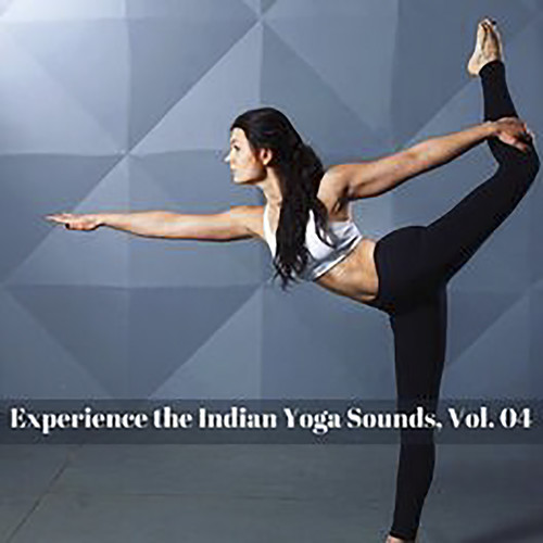 Experience The Indian Yoga Sounds, Vol. 04