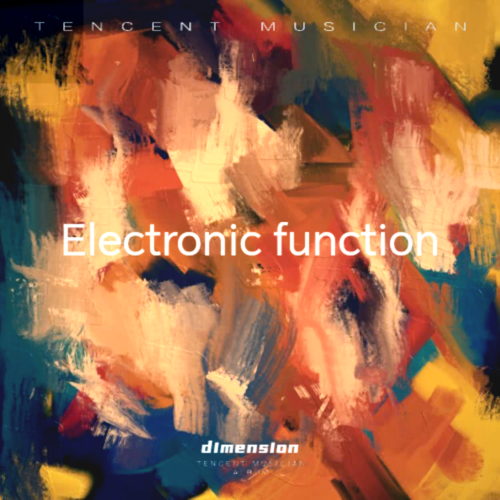 Electronic function