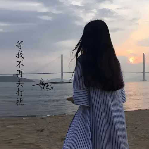 等我不再去打扰