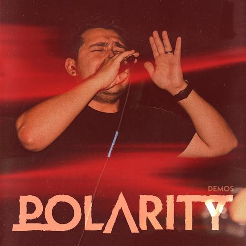 Polarity Demos