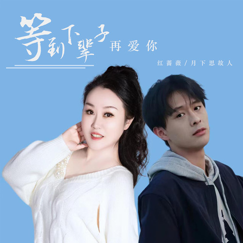 等到下辈子再爱你
