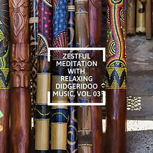 Zestful Meditation With Relaxing Didgeridoo Music, Vol. 03