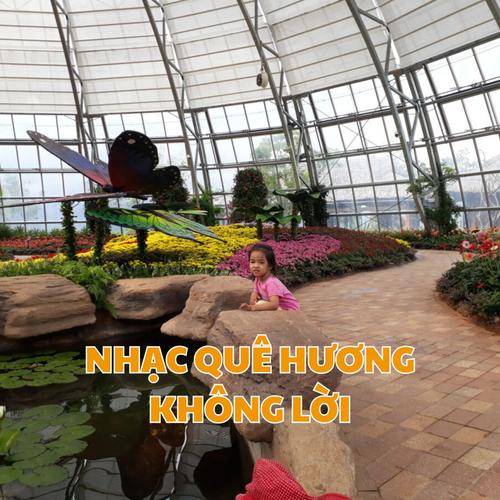 NHẠC QUÊ HƯƠNG KHÔNG LỜI