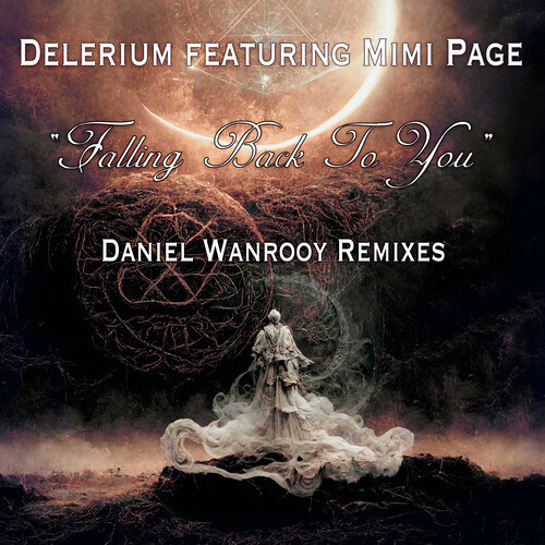 Falling Back to You (Daniel Wanrooy Remixes)