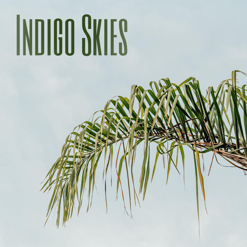 Indigo Skies